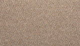Mohawk Tectonic Carpet