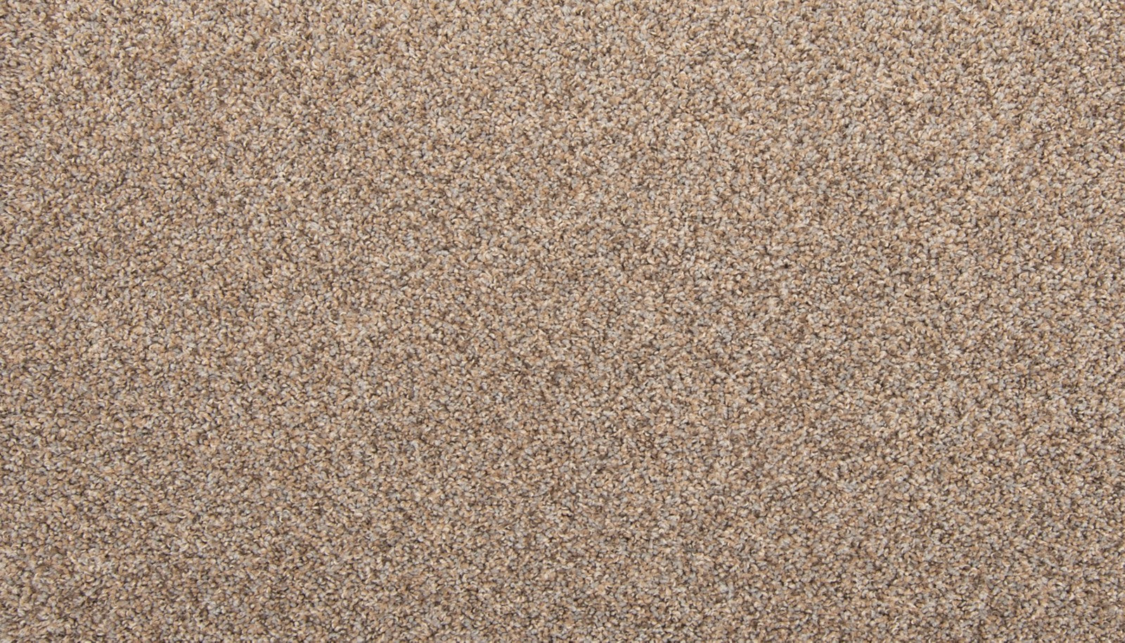 Mohawk Tectonic in Flannel, Carpet product detail
