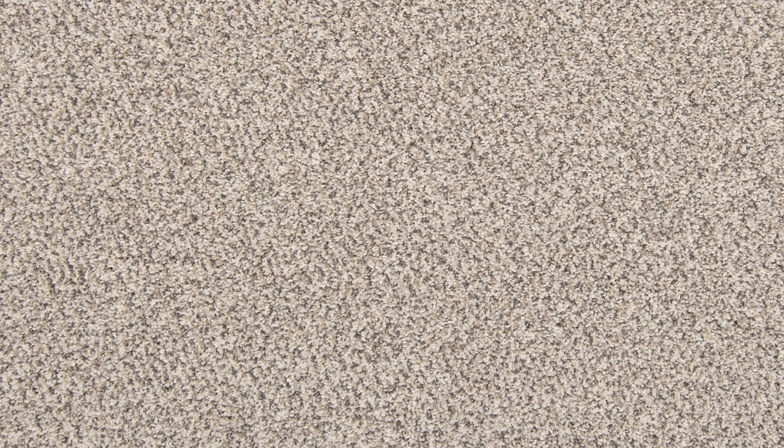 Mohawk Tectonic in Silver Dollar, Carpet product detail