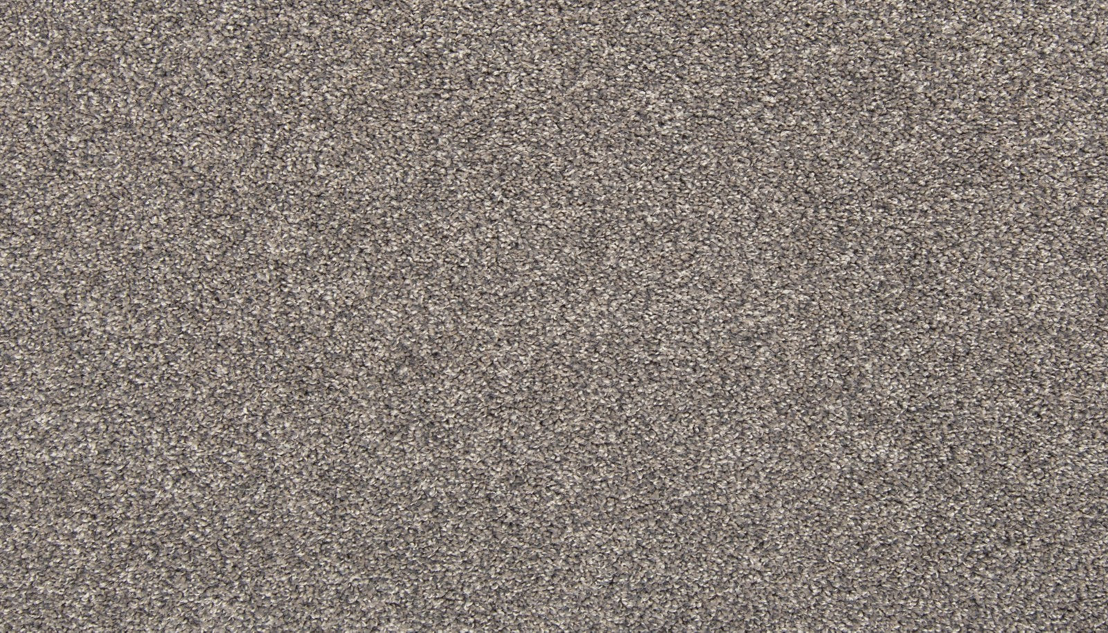 Mohawk Tectonic in Steelbeam, Carpet product detail