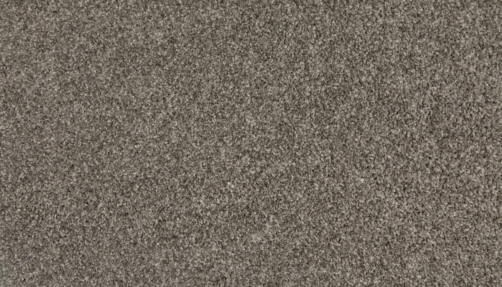 Mohawk Up The Ante in Tropical Storm, Carpet product detail