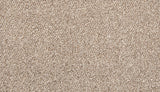 Mohawk Tectonic Carpet