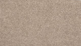 Mohawk Tectonic Carpet