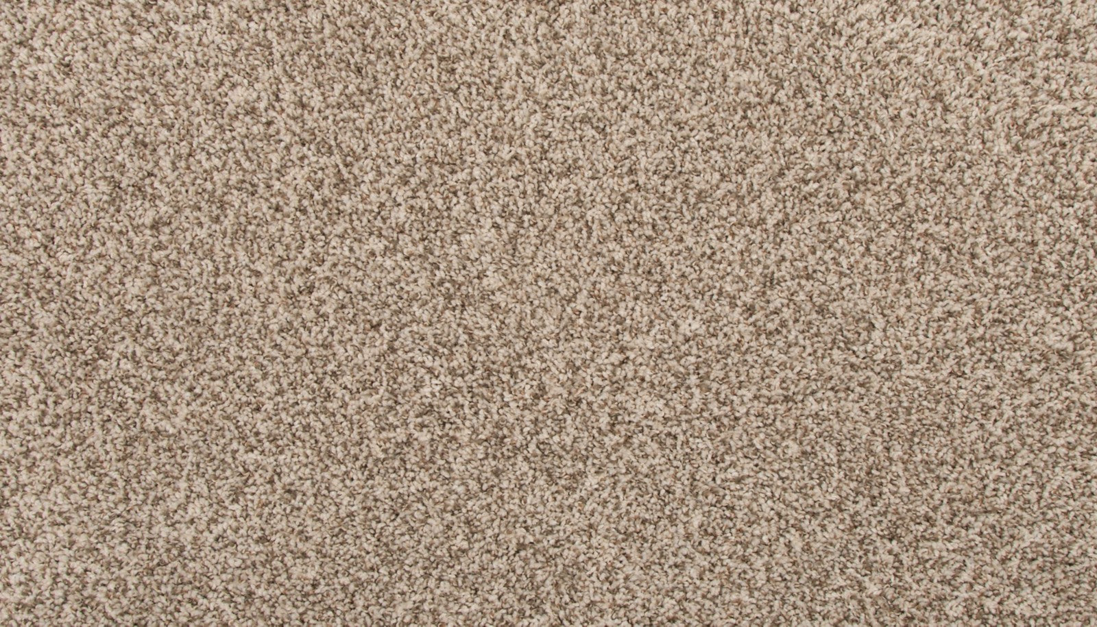 Mohawk Revive in Elk Beige, Carpet product detail