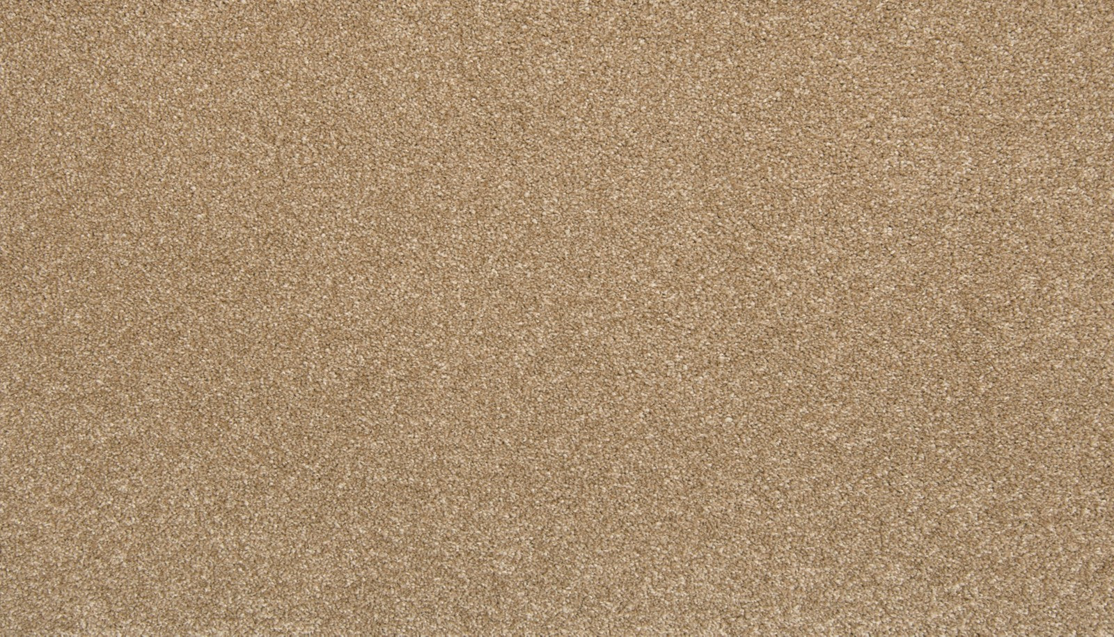 Mohawk Dynamic Quality I in Midsummer, Carpet product detail