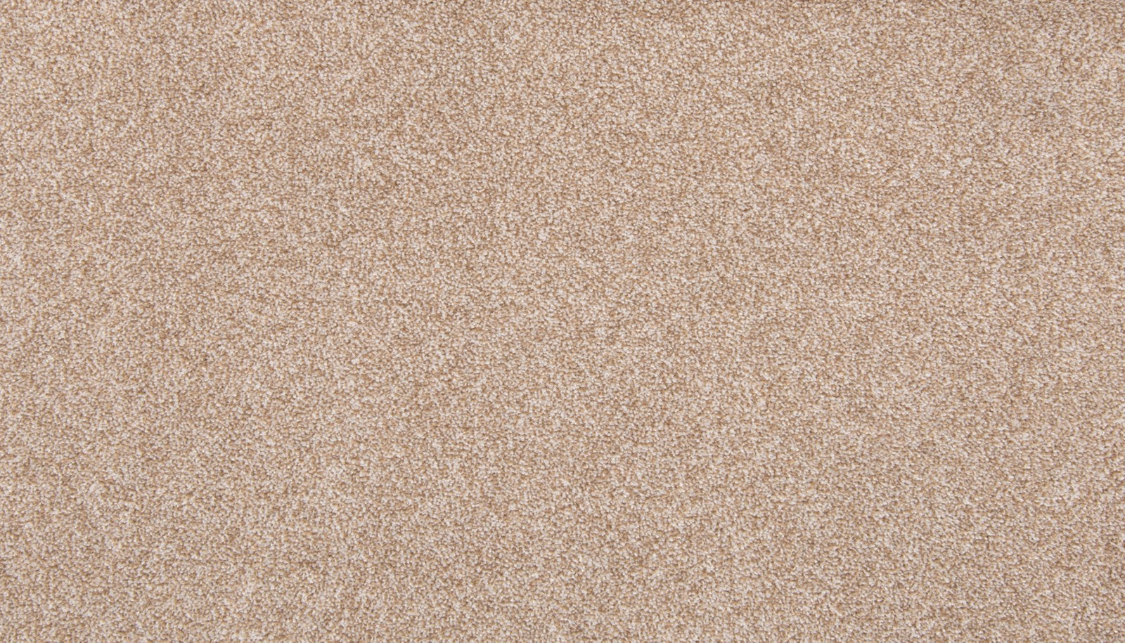 Mohawk Dynamic Quality I in Walnut Sage, Carpet product detail
