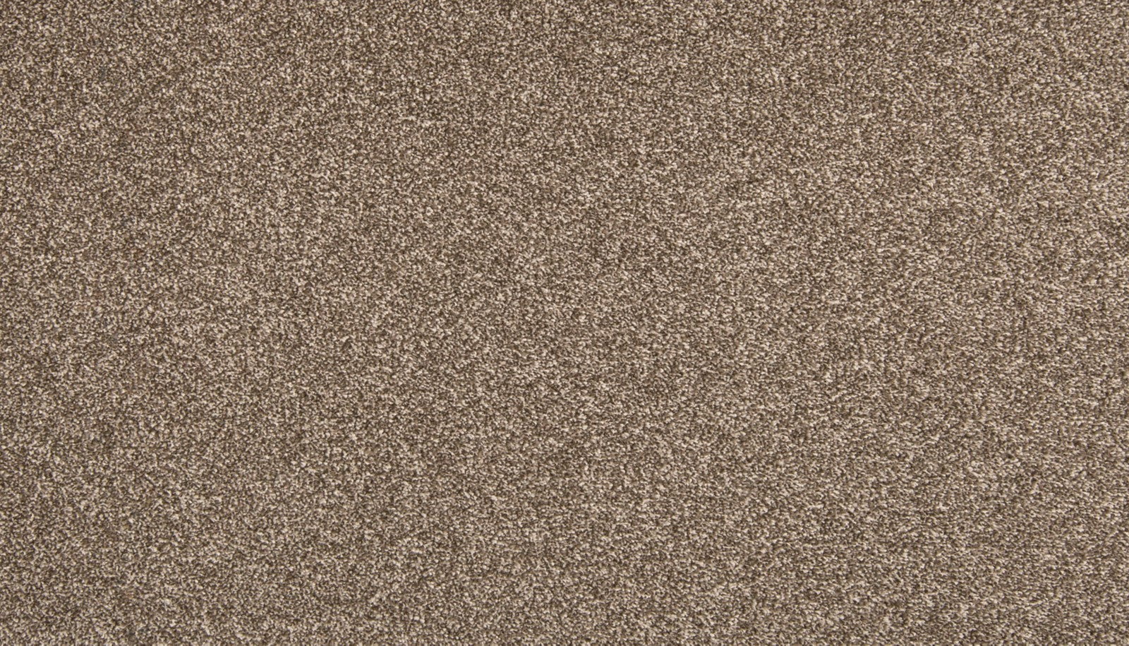 Mohawk Dynamic Quality I in Filigree, Carpet product detail