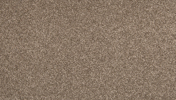 Mohawk Dynamic Quality I Carpet