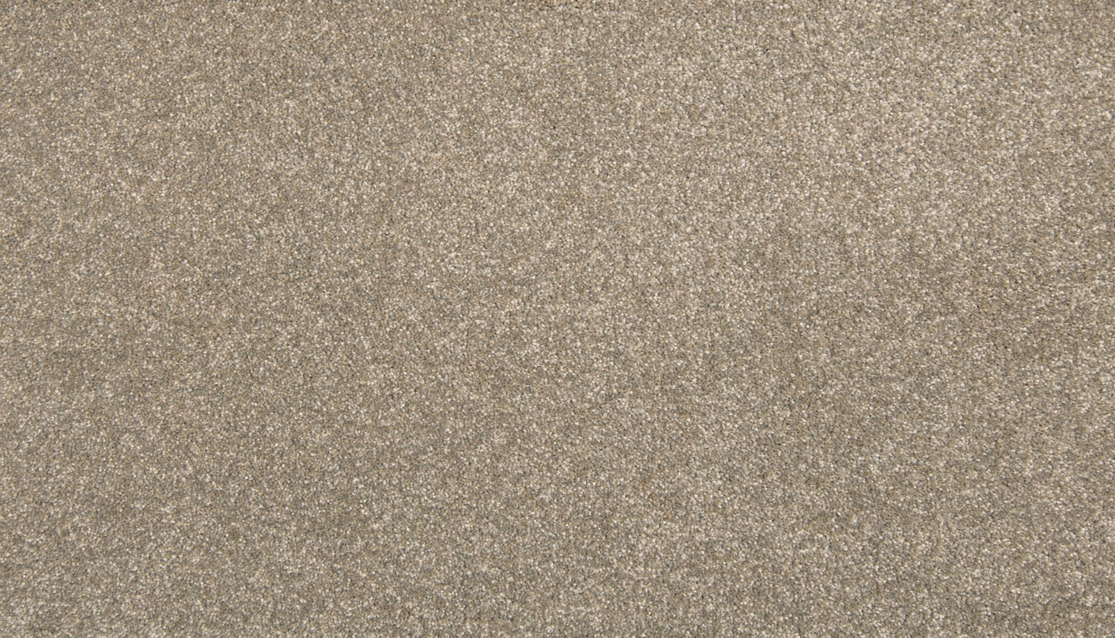 Mohawk Dynamic Quality I in Iron Clad, Carpet product detail
