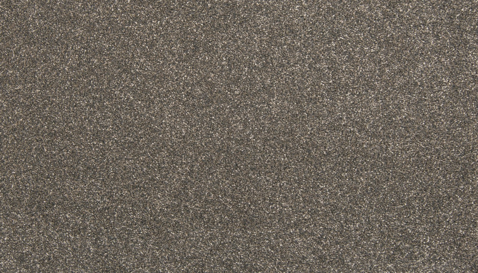 Mohawk Dynamic Quality I in Steel Sparks, Carpet product detail