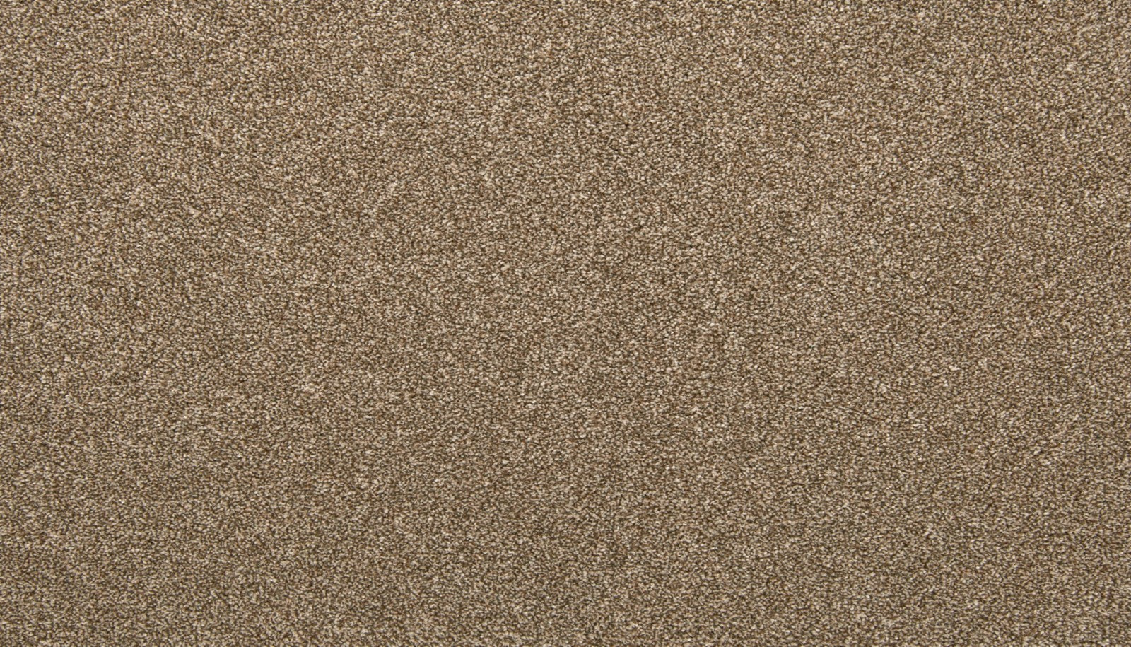 Mohawk Dynamic Quality I in Spice Cake, Carpet product detail