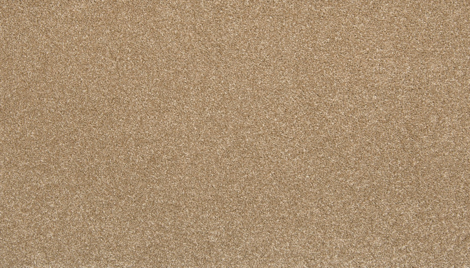 Mohawk Dynamic Quality II in Midsummer, Carpet product detail