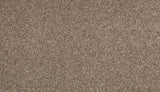 Mohawk Dynamic Quality II Carpet