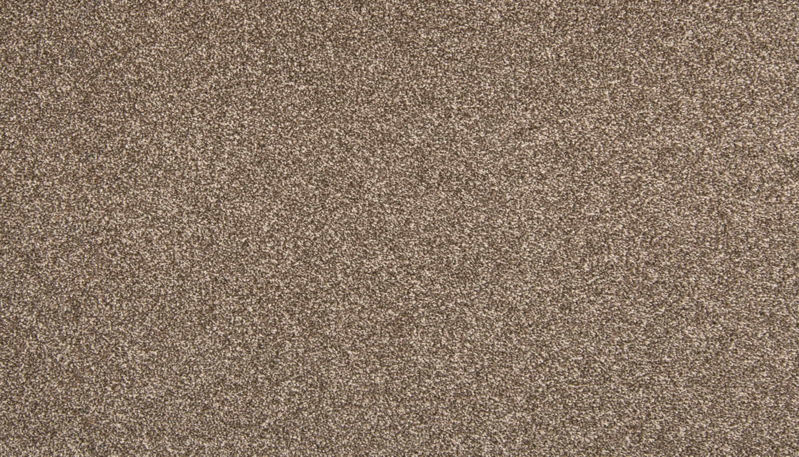 Mohawk Dynamic Quality II in Filigree, Carpet product detail