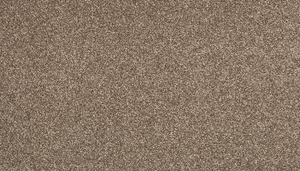 Mohawk Dynamic Quality II Carpet