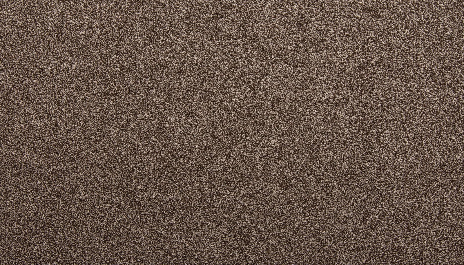 Mohawk Dynamic Quality II in Melted Chocolate, Carpet product detail