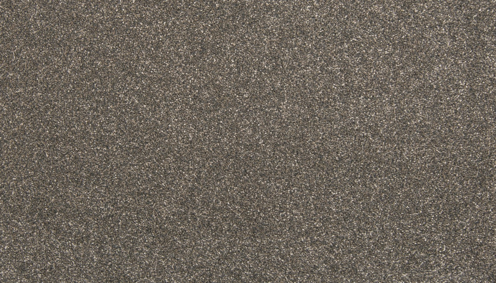 Mohawk Dynamic Quality II in Steel Sparks, Carpet product detail