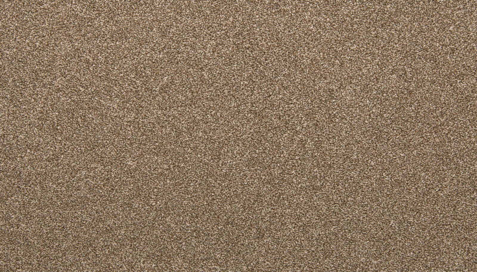 Mohawk Dynamic Quality II in Spice Cake, Carpet product detail