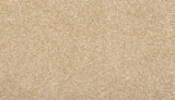 Mohawk Vitalize I Carpet