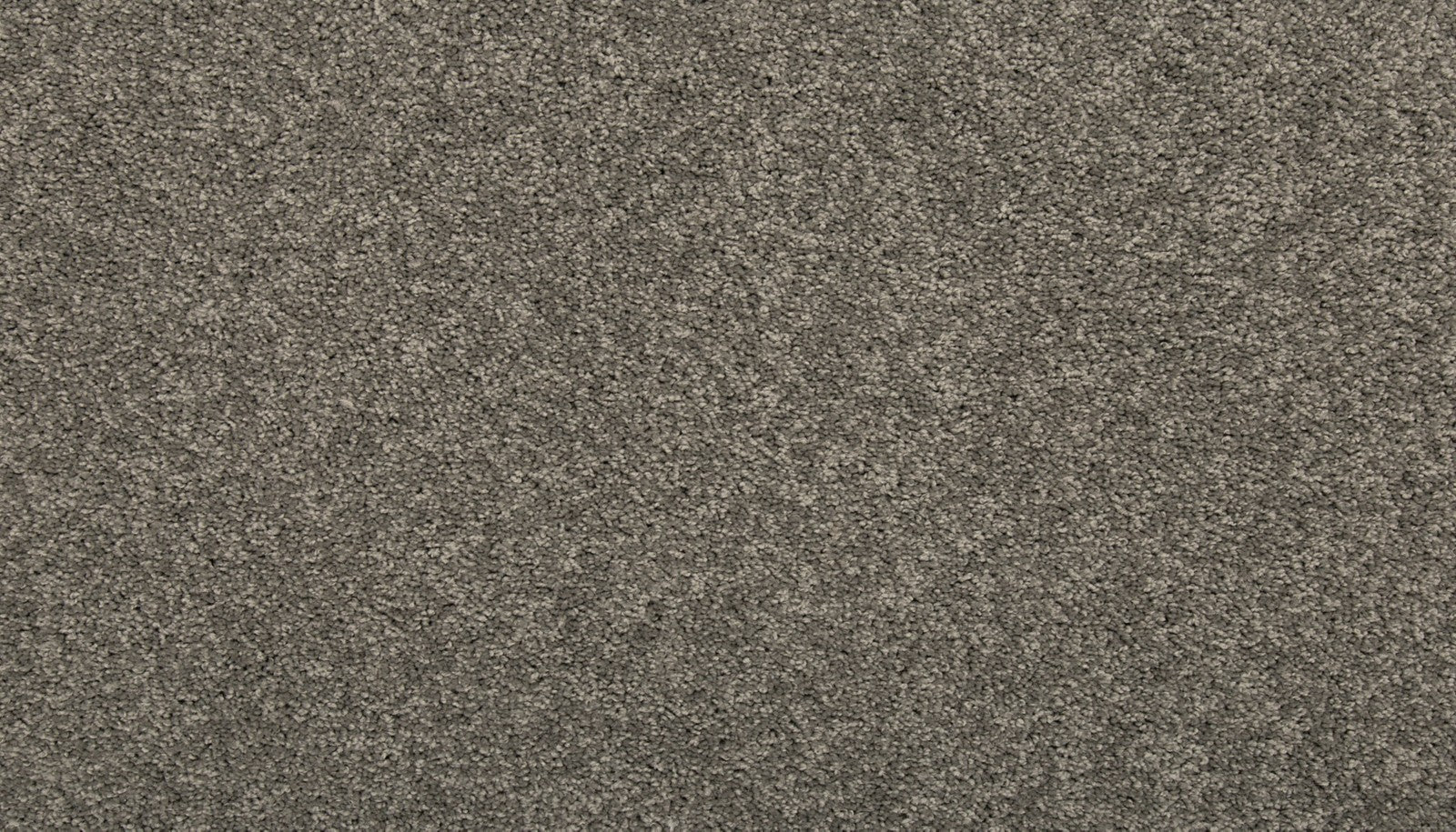 Mohawk Vitalize I in Pewter, Carpet product detail