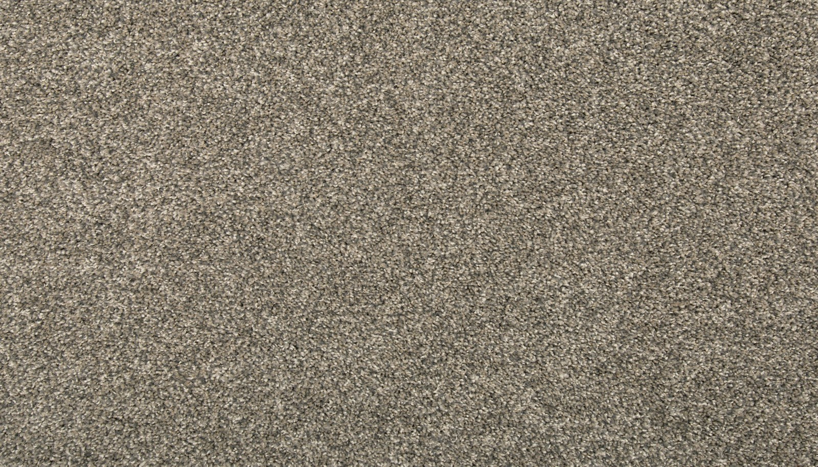 Mohawk Vitalize I in Steelbeam, Carpet product detail