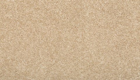 Mohawk Vitalize II Carpet