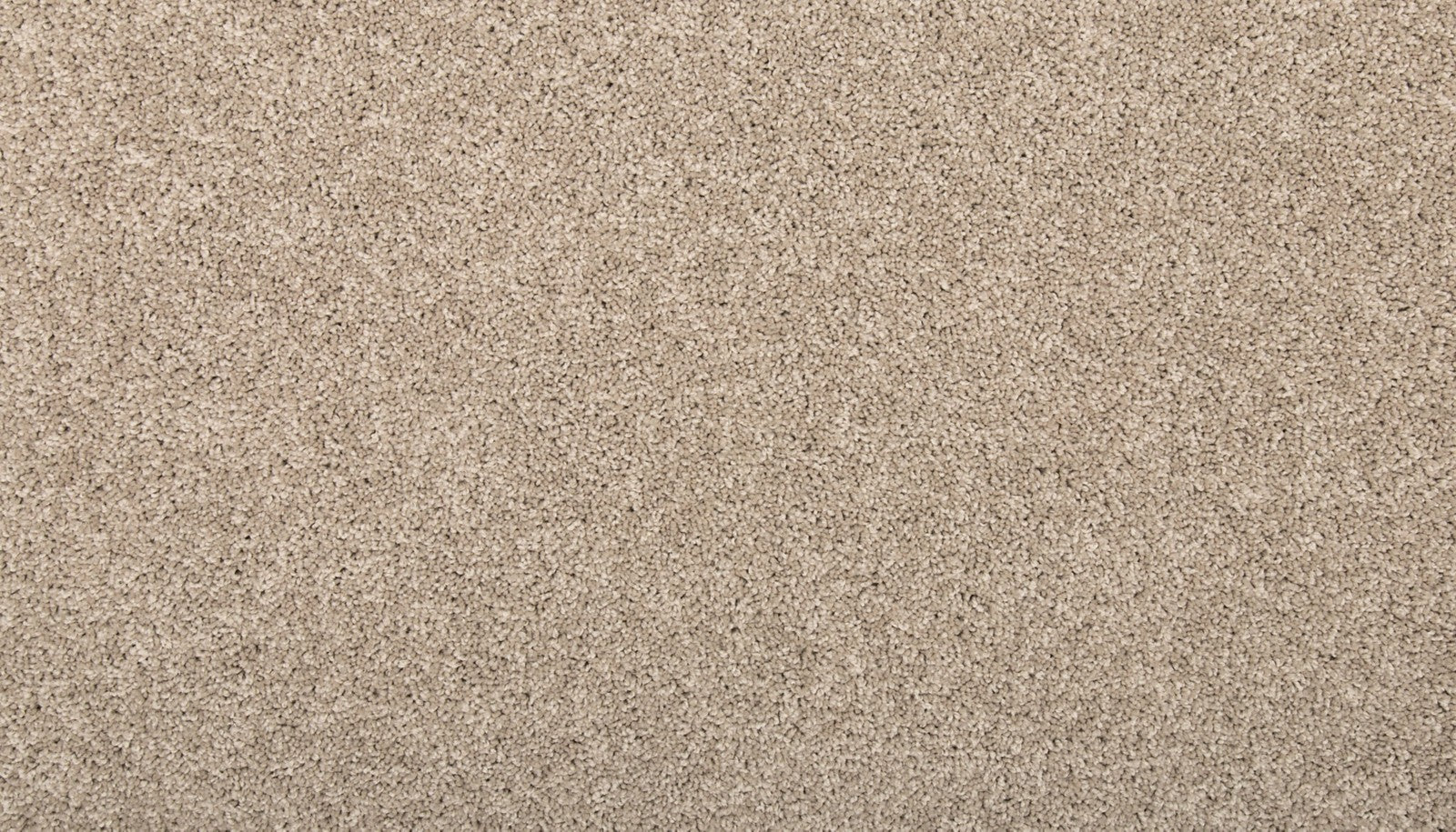 Mohawk Vitalize II in Stony Glade, Carpet product detail