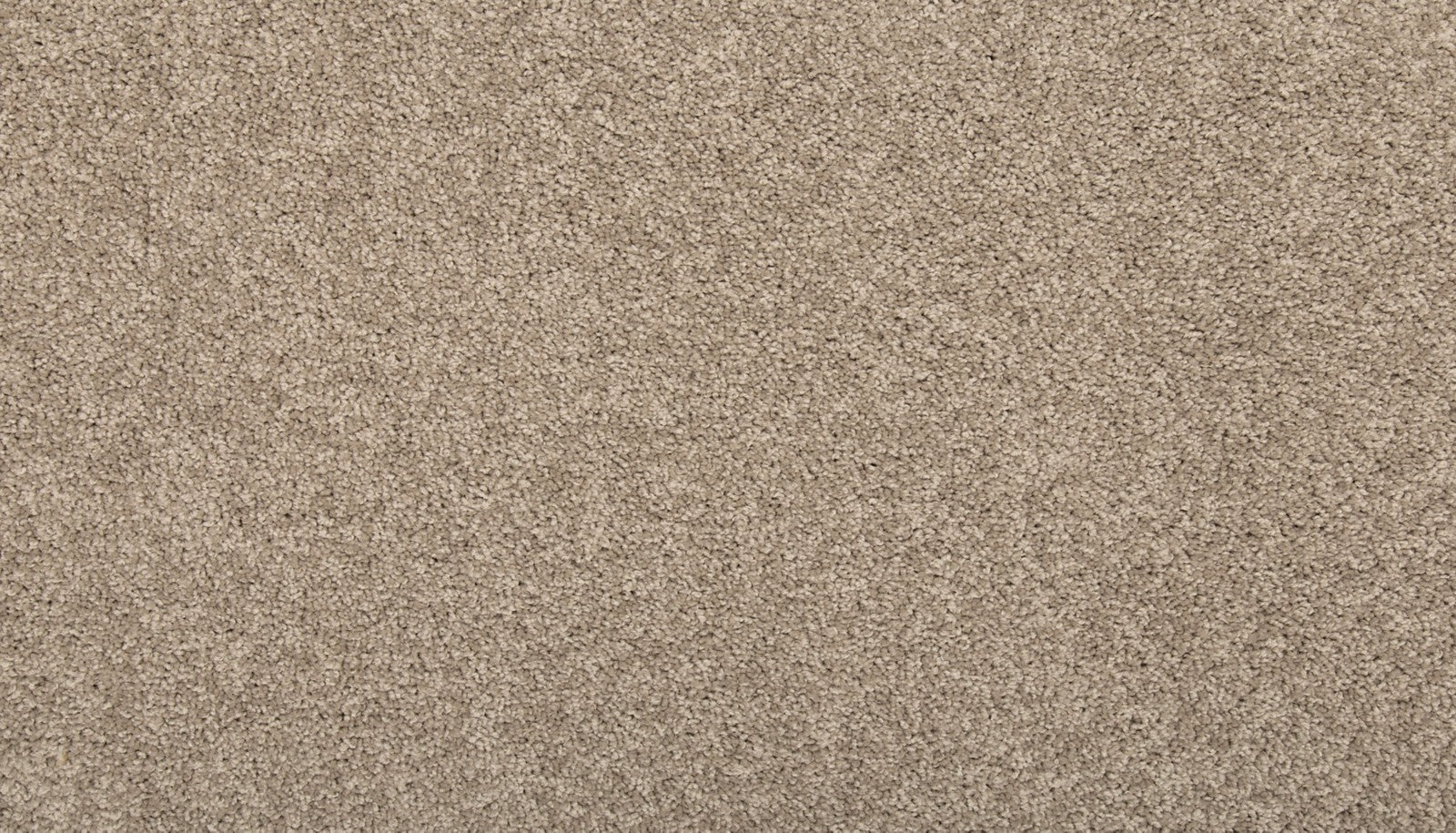 Mohawk Vitalize II in Havana, Carpet product detail