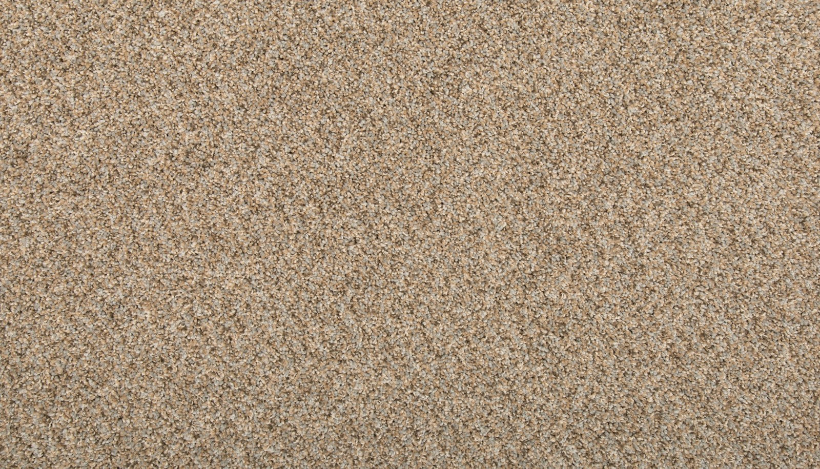 Mohawk Vitalize II in Flannel, Carpet product detail
