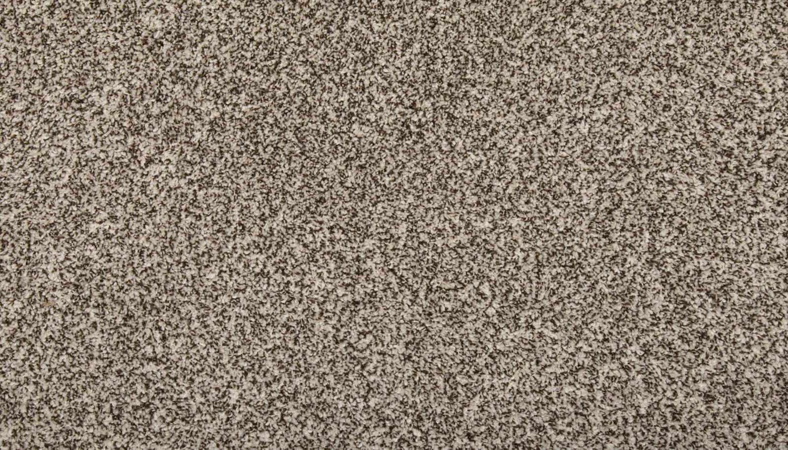 Mohawk Renovate I in Quiet Light, Carpet product detail