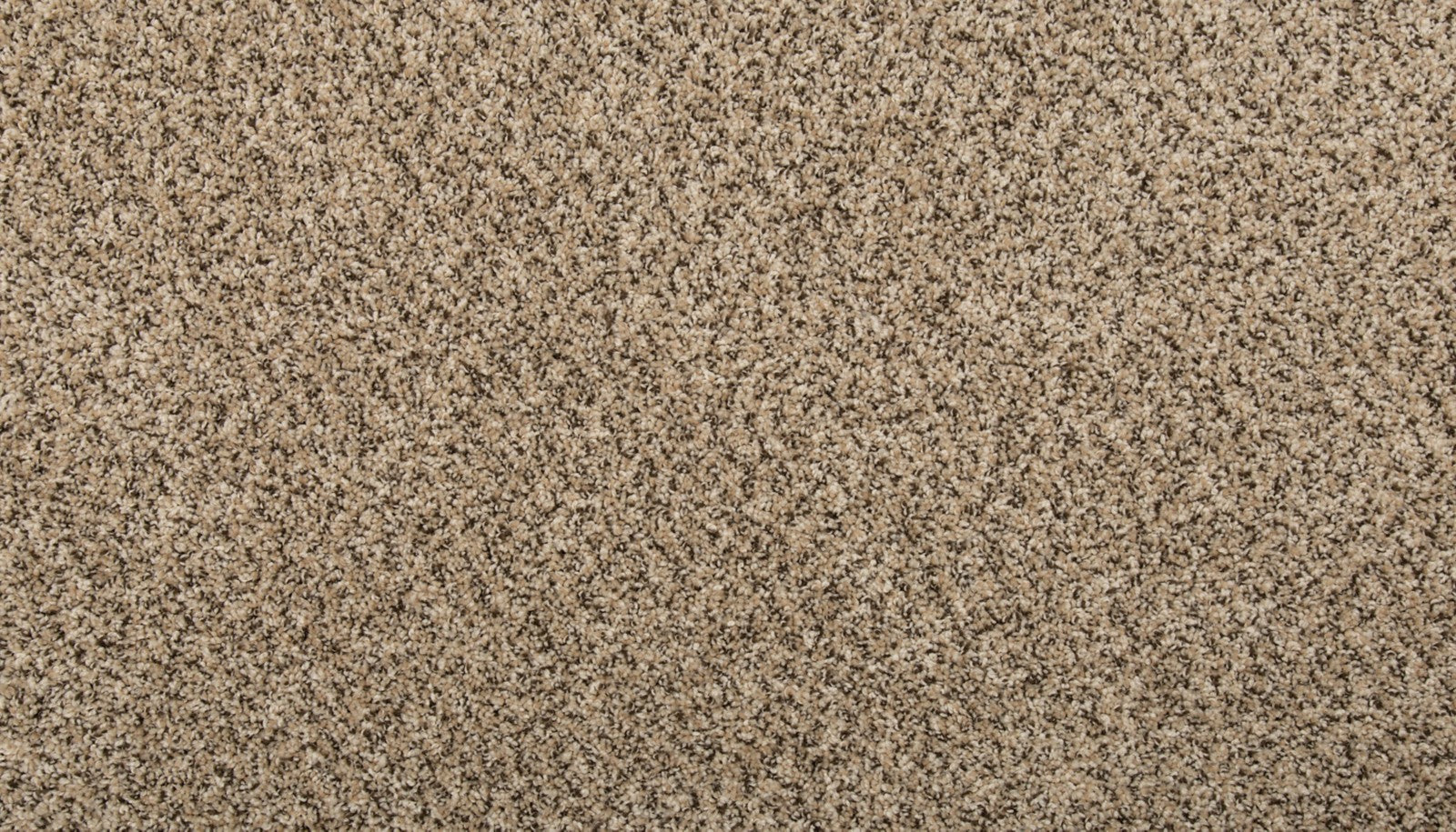 Mohawk Renovate I in Cross Country, Carpet product detail