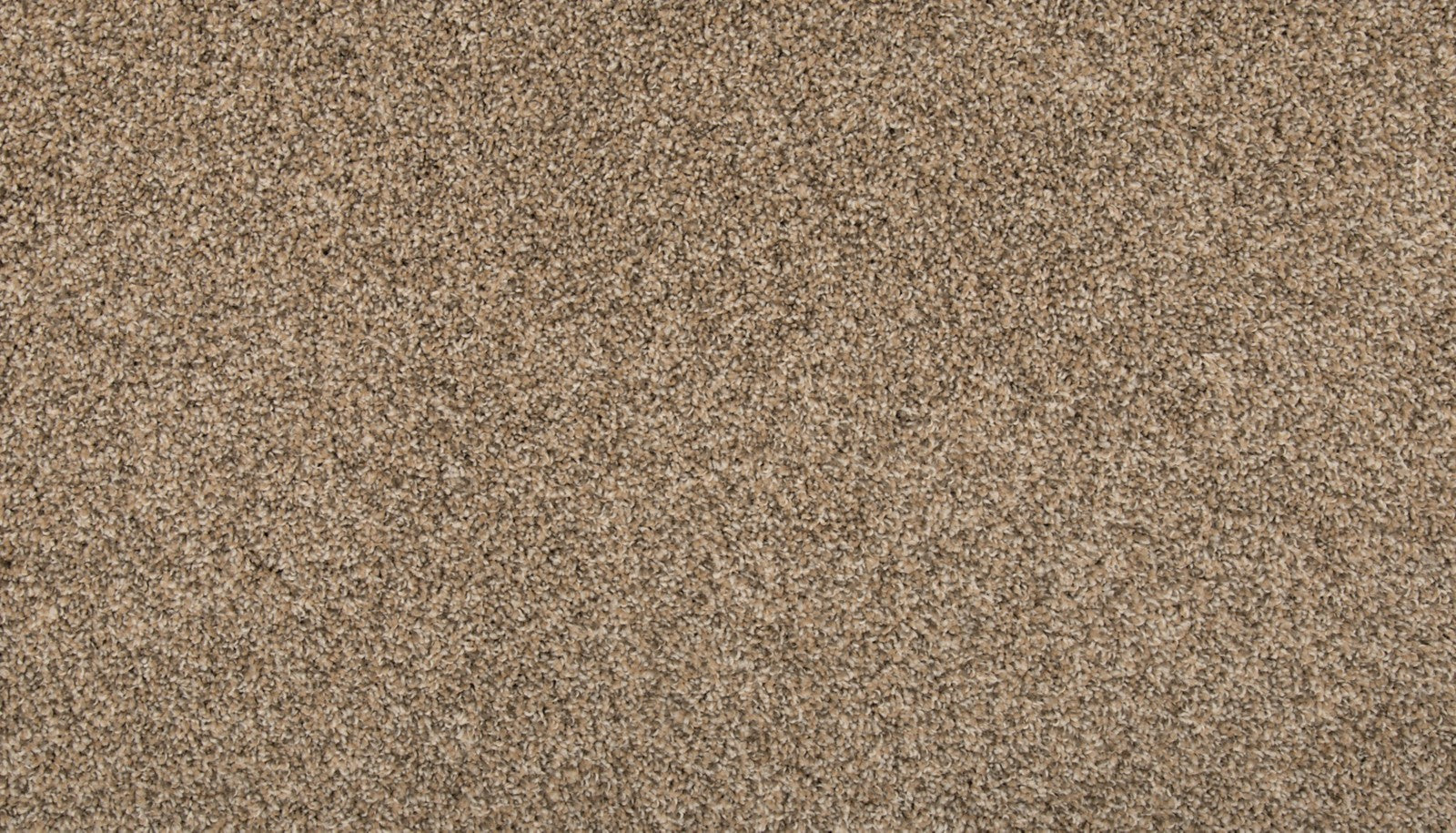 Mohawk Renovate I in Flax Seed, Carpet product detail