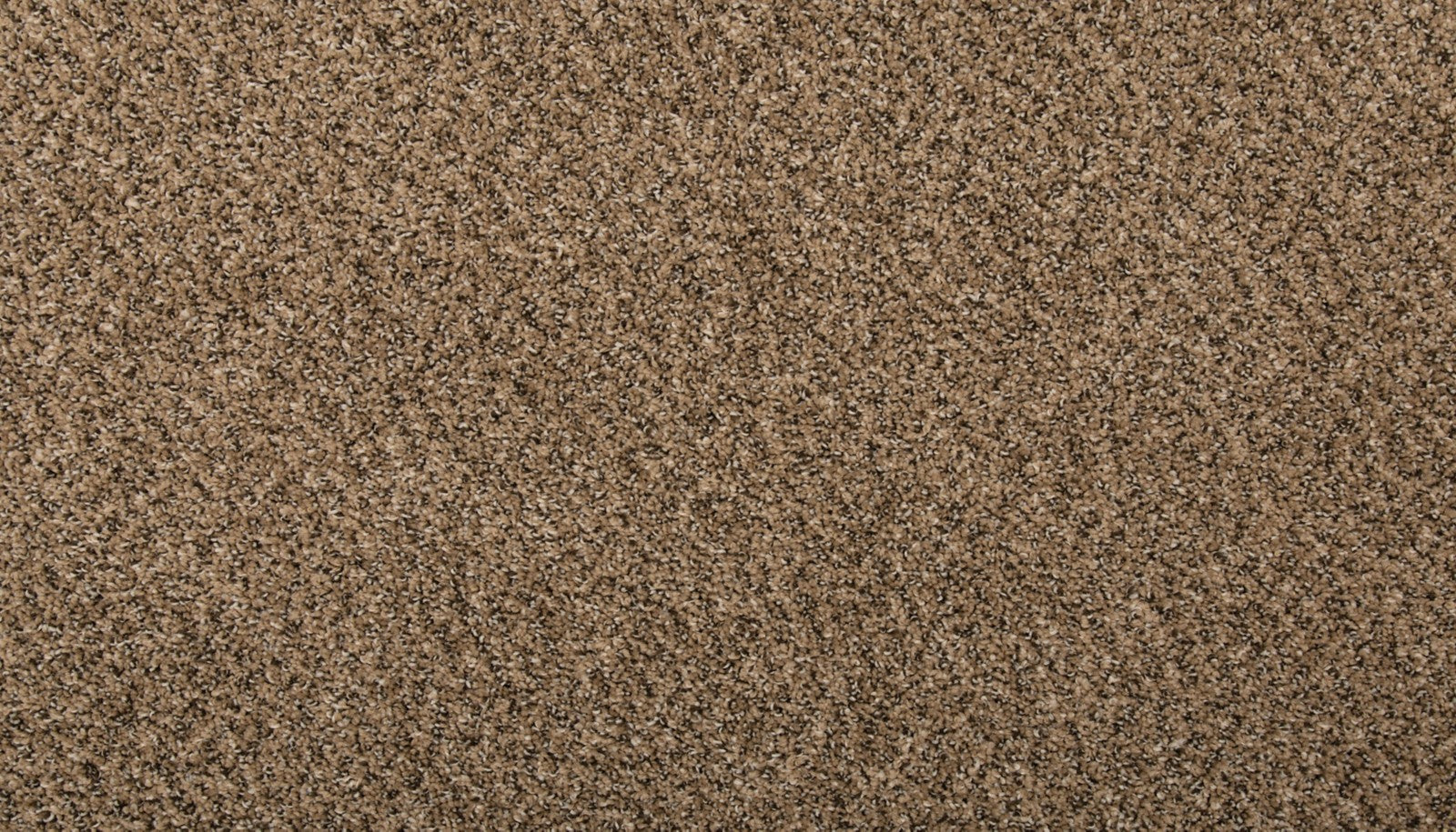 Mohawk Renovate I in Pretzel Twist, Carpet product detail