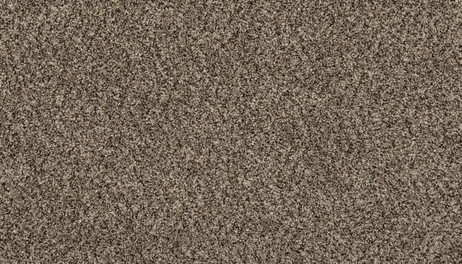 Mohawk Renovate I in Shimmer Ash, Carpet product detail