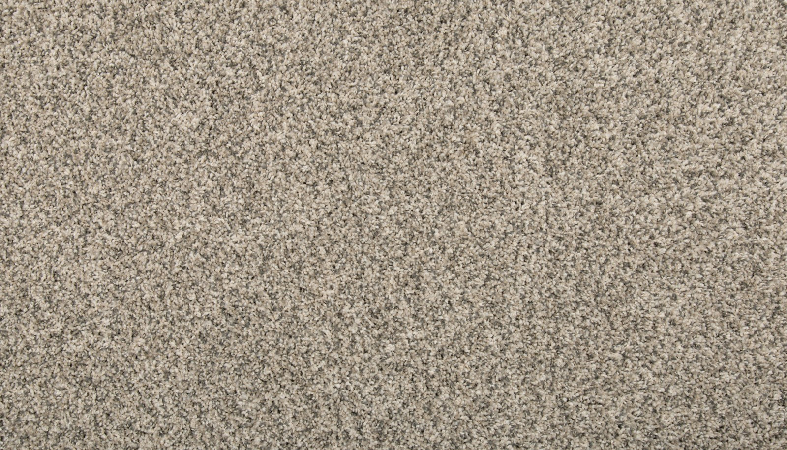 Mohawk Renovate I in Silver Dollar, Carpet product detail