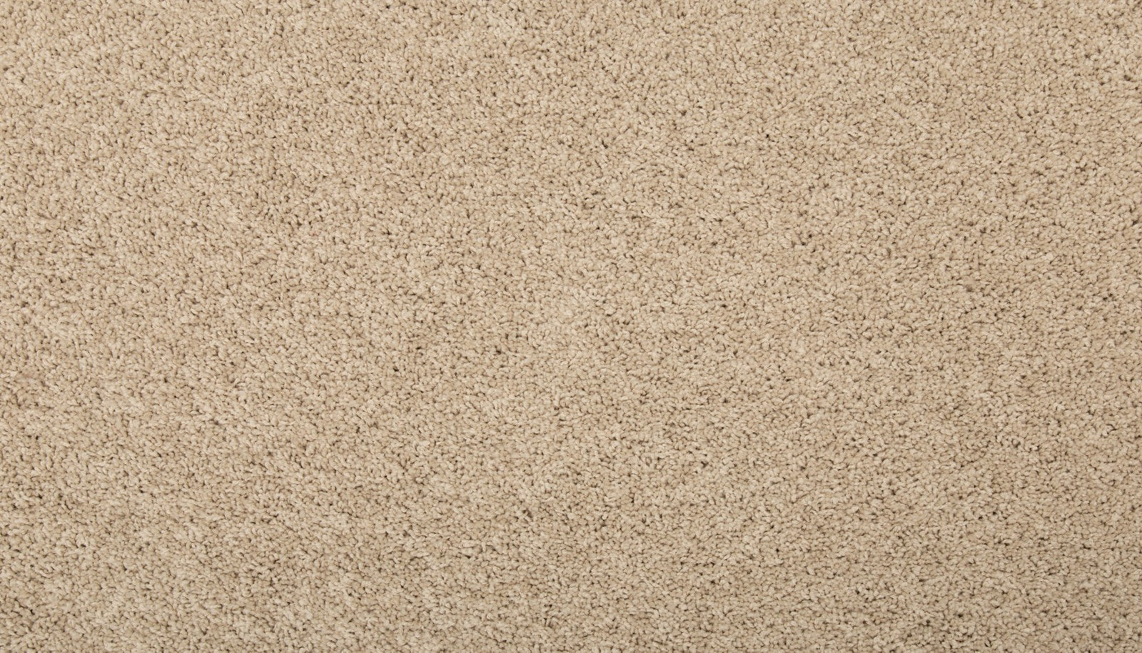 Mohawk Renovate I in Rice Cake, Carpet product detail