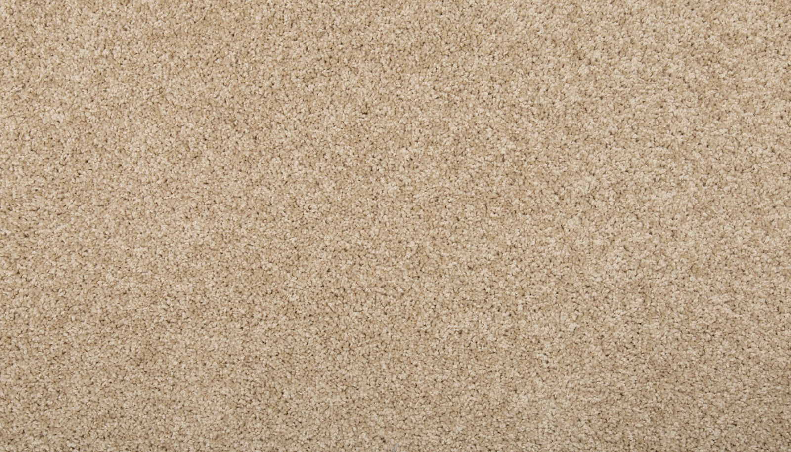 Mohawk Renovate I in Sugar Cookie, Carpet product detail