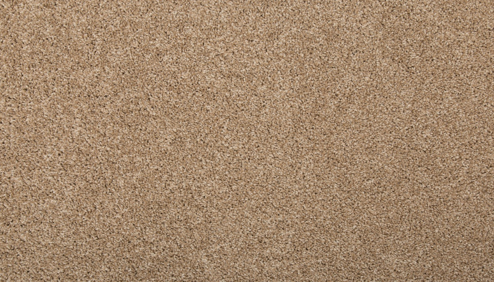 Mohawk Renovate I in Toffee Cream, Carpet product detail