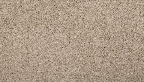 Mohawk Renovate I Carpet