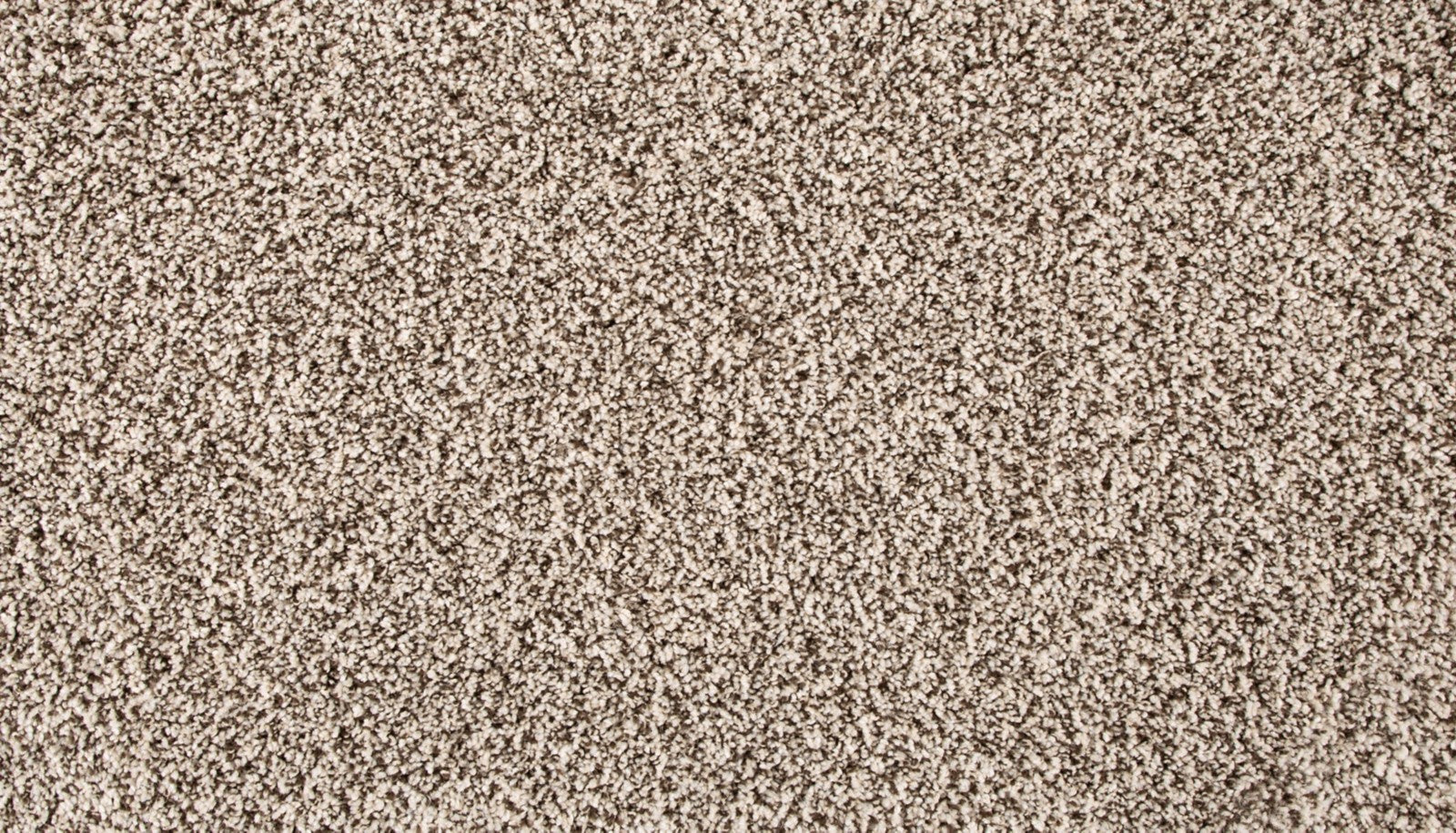 Mohawk Renovate III in Quiet Light, Carpet product detail