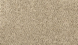 Mohawk Renovate III Carpet