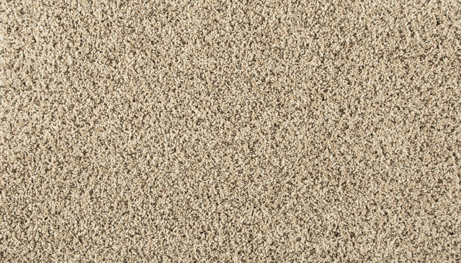 Mohawk Renovate III in Cross Country, Carpet product detail
