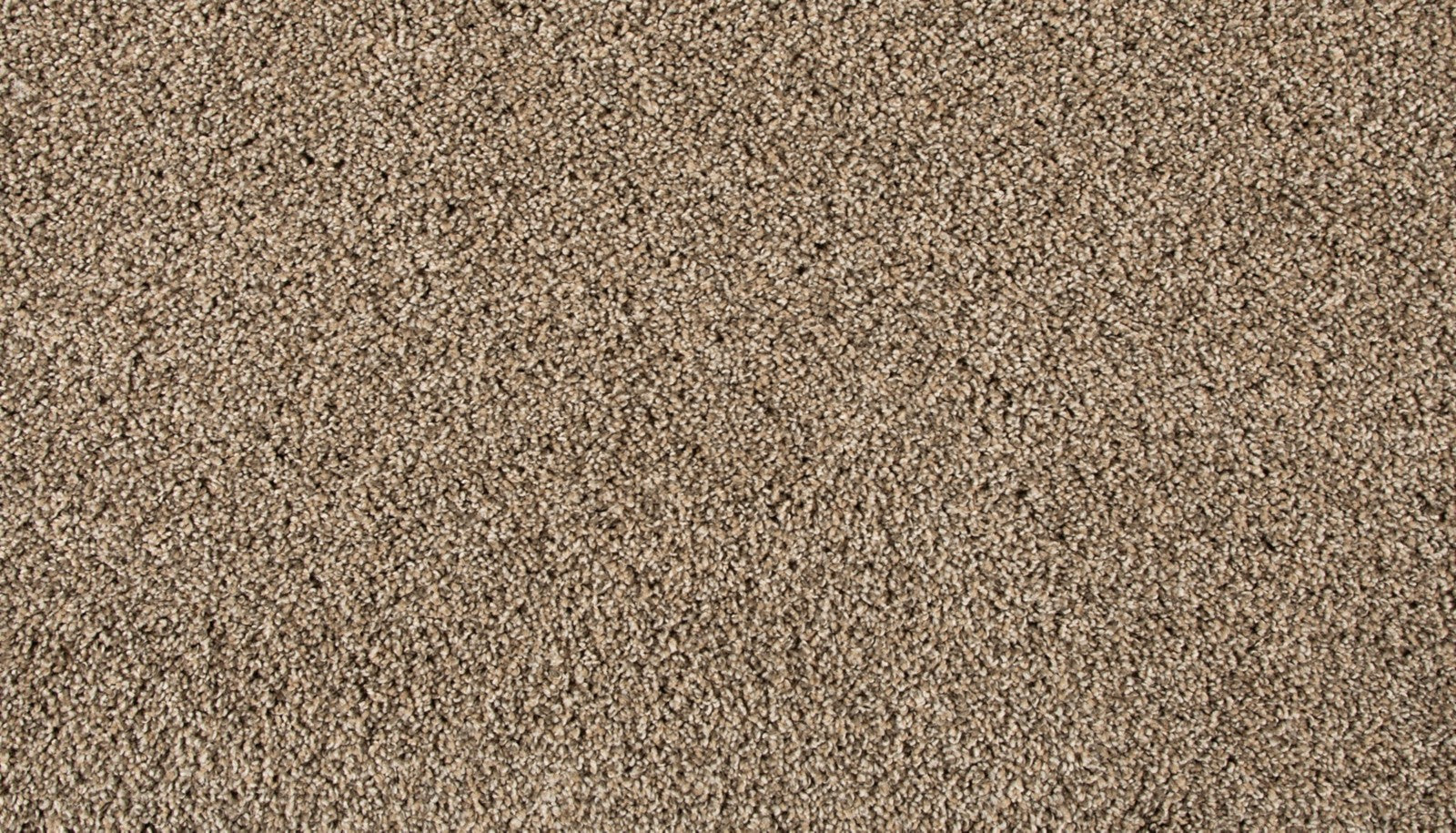 Mohawk Renovate III in Flax Seed, Carpet product detail