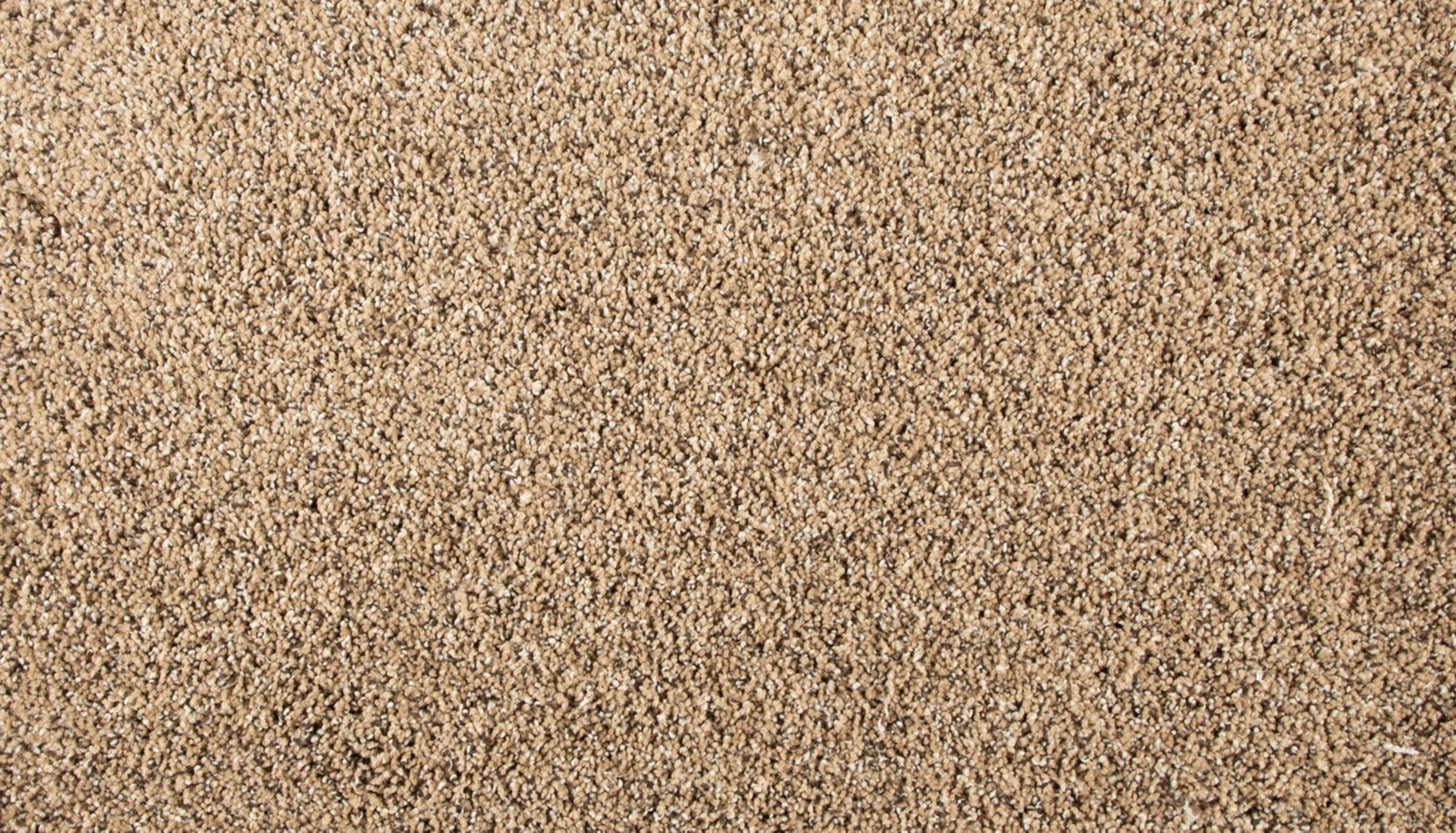 Mohawk Renovate III in Pretzel Twist, Carpet product detail