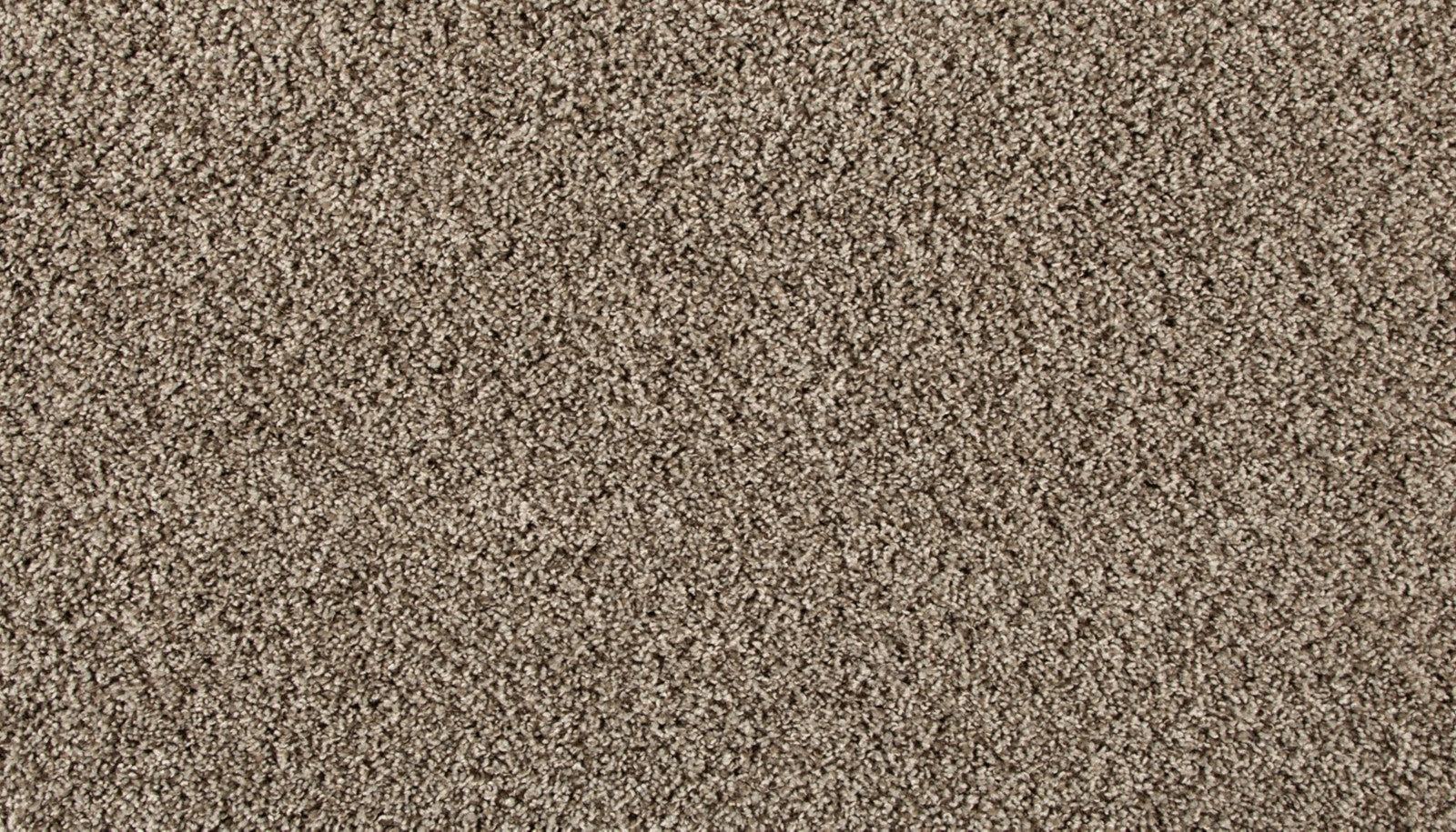Mohawk Renovate III in Shimmer Ash, Carpet product detail
