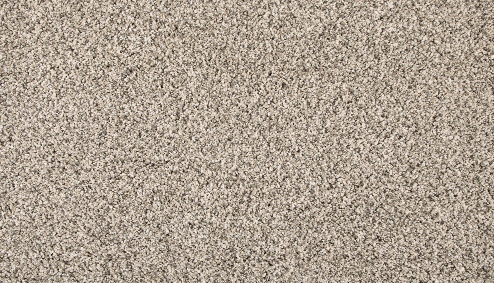 Mohawk Renovate III in Silver Dollar, Carpet product detail