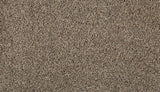 Mohawk Renovate III Carpet