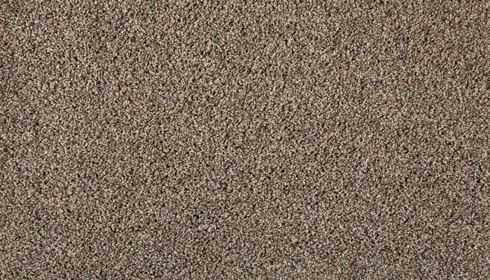 Mohawk Renovate III in Flannel, Carpet product detail
