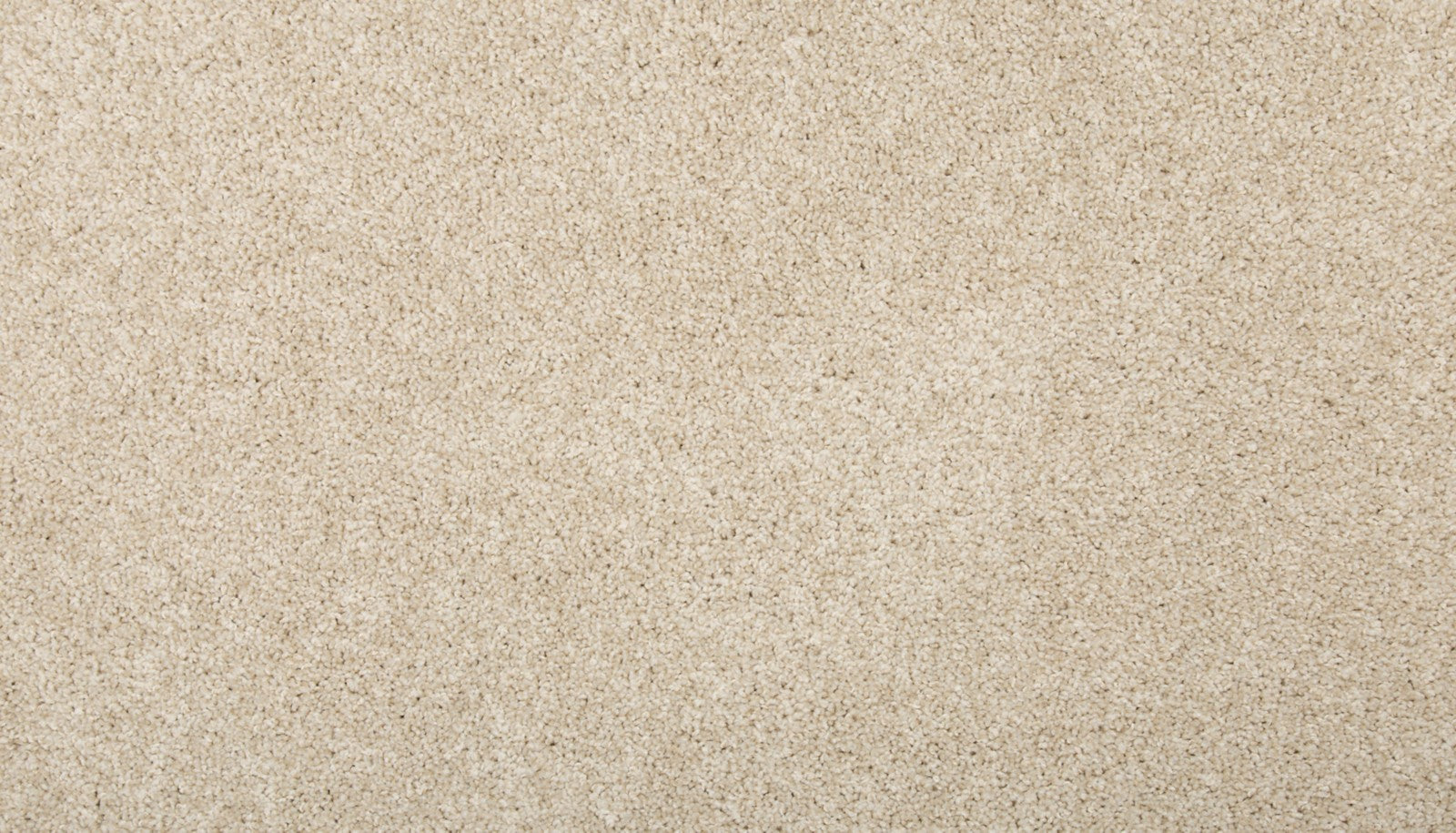 Mohawk Renovate III in Linen Lace, Carpet product detail