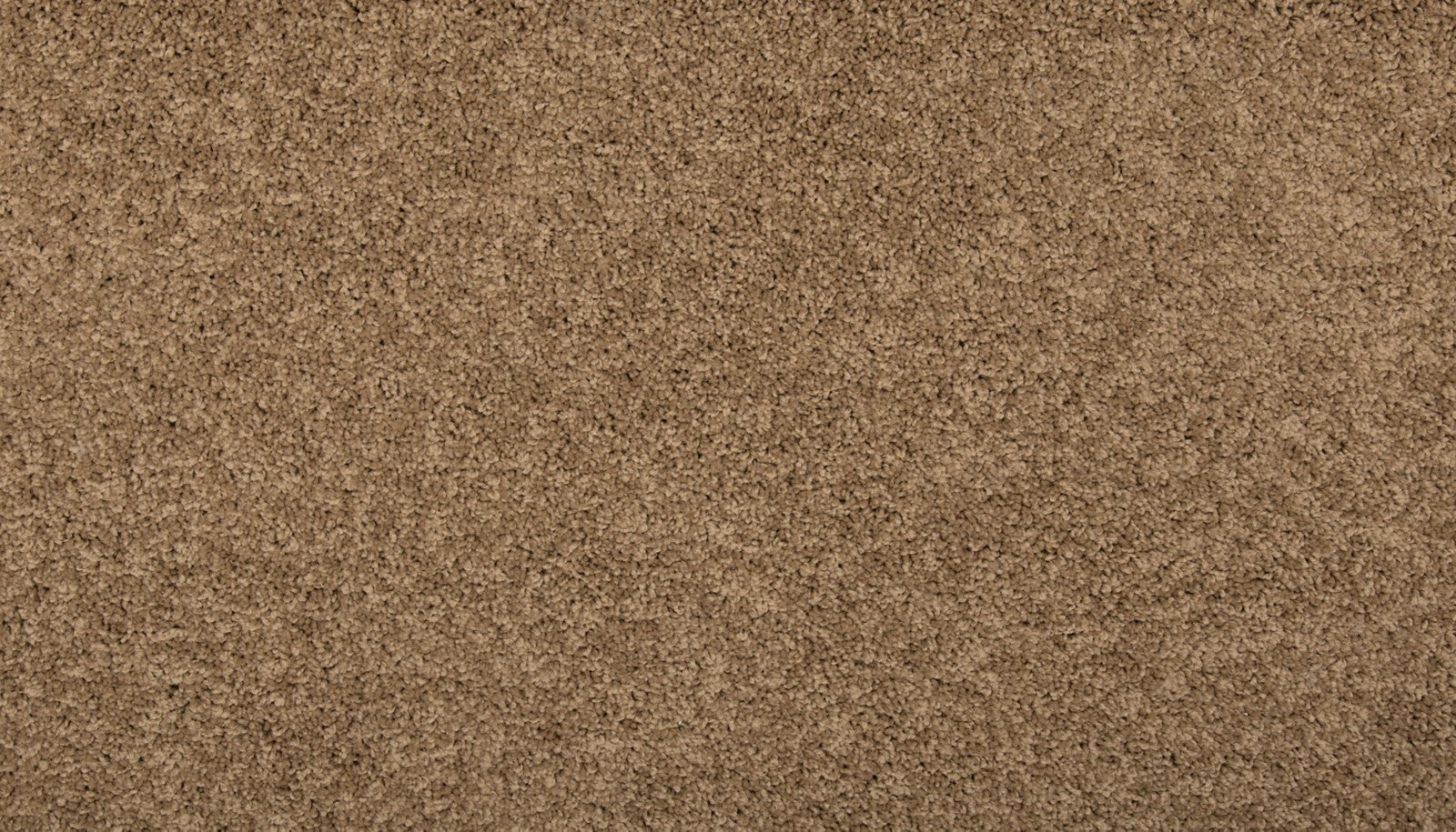 Mohawk Renovate III in Fowler, Carpet product detail